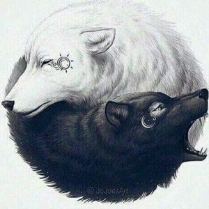 Meet your Posher, Ainsley